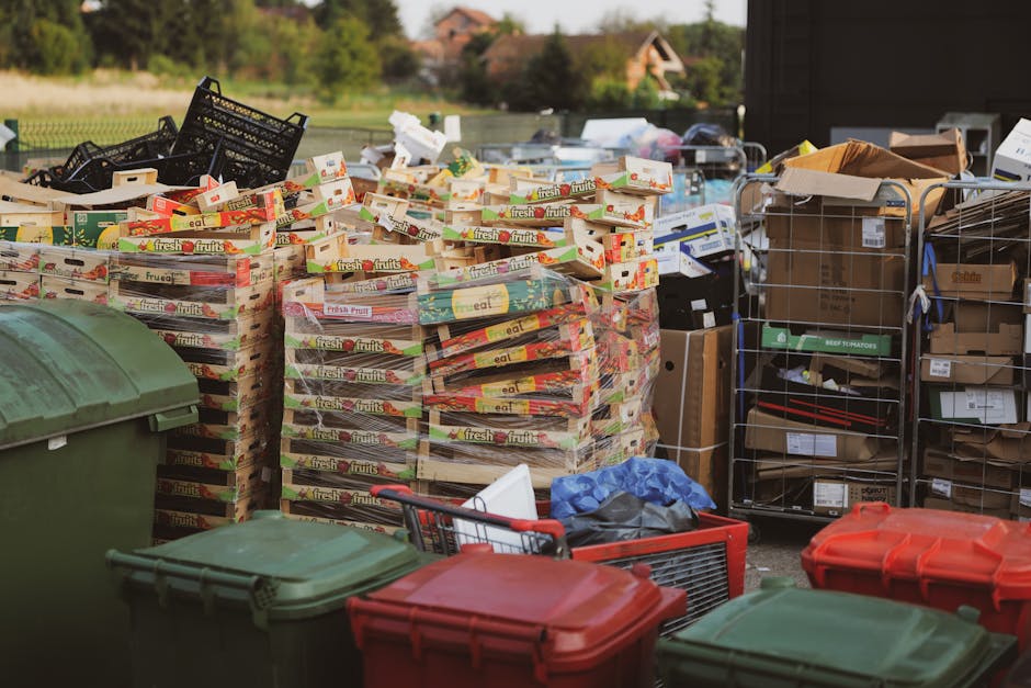 A large outdoor area features numerous stacks of cardboard fruit and vegetable boxes, primarily marked with the 'fresh fruits' label, arranged in various heights and occupying a significant portion of the space. To the left, there are two green plastic waste bins with closed lids, positioned on a paved surface. Several black plastic crates and a red shopping trolley filled with black and blue trash bags are visible in the foreground, alongside a smaller red plastic container. On the right, there are several metal wire cages filled with flattened cardboard boxes and assorted packaging materials, with some boxes showing labels and barcodes. The background reveals a rural setting with a pond, lush green trees, and a few houses with sloped roofs under a clear sky, suggesting a suburban or semi-rural environment. The scene is illuminated by natural daylight, emphasizing the textures and colors of the various waste materials, which appear to be awaiting collection or disposal. The image is associated with private waste handling or on-site clearance, consistent with services provided by House Clearance Hackney.